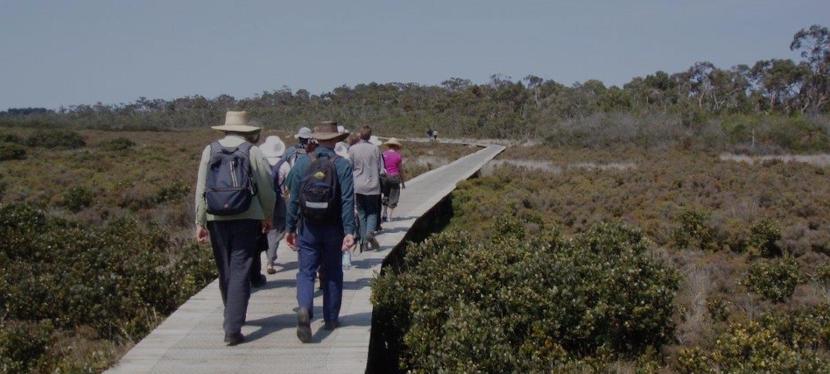 Discover Western Port