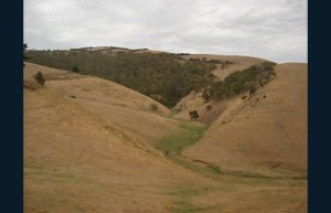 Bass Gorge Creek. Photo by Graham Rooney, MWC.